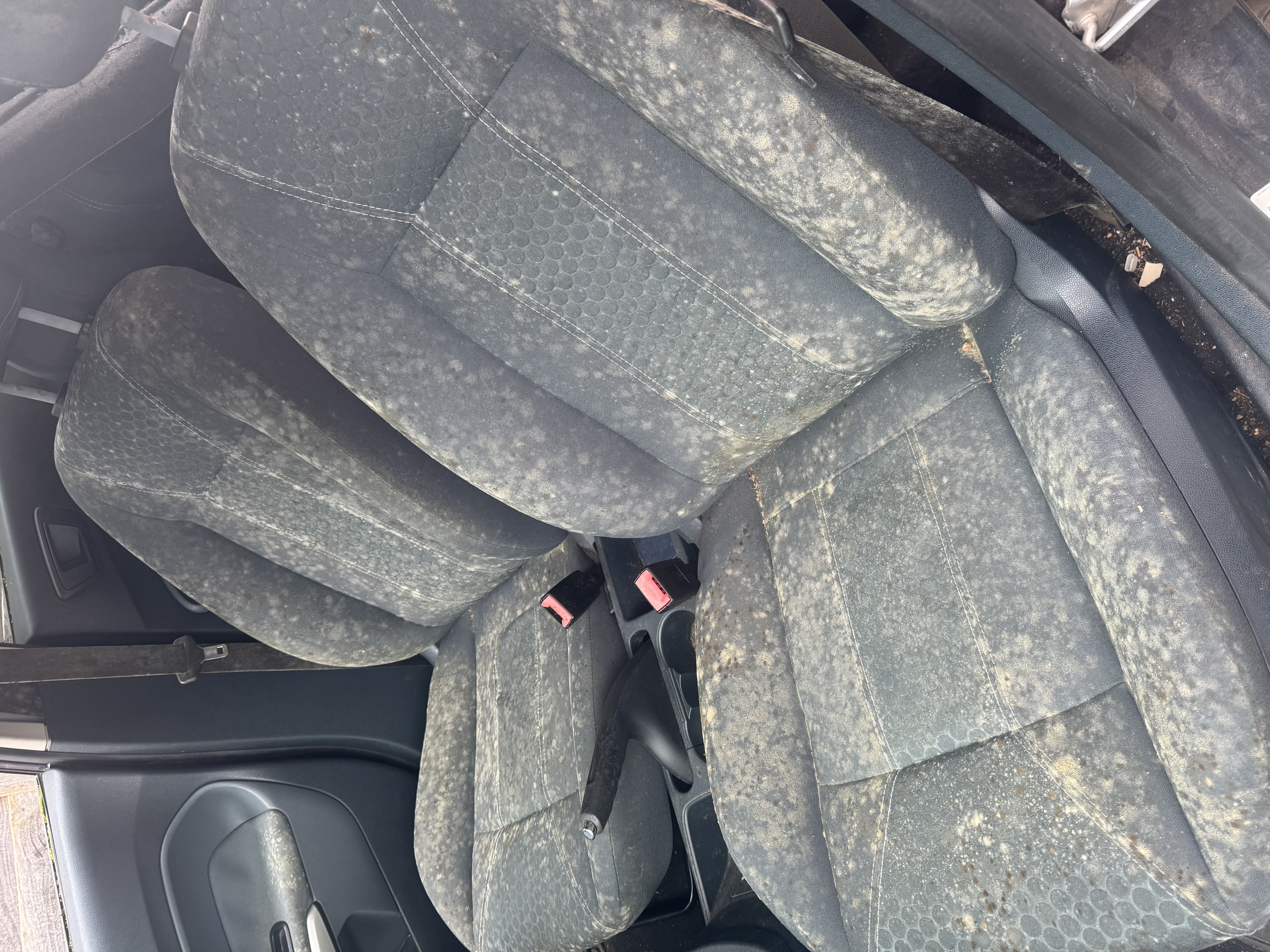 Ford Fiesta Detail
